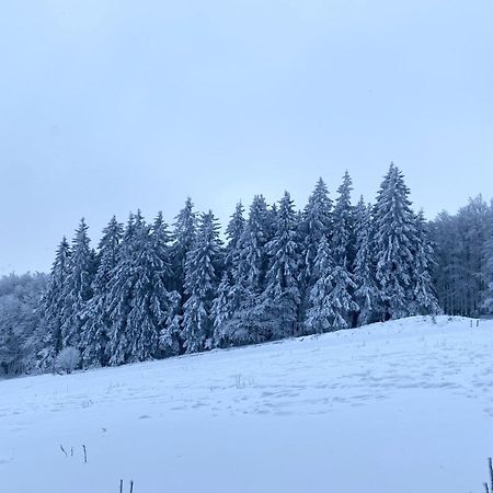 Le Chalet Du Hohwald Exterior foto